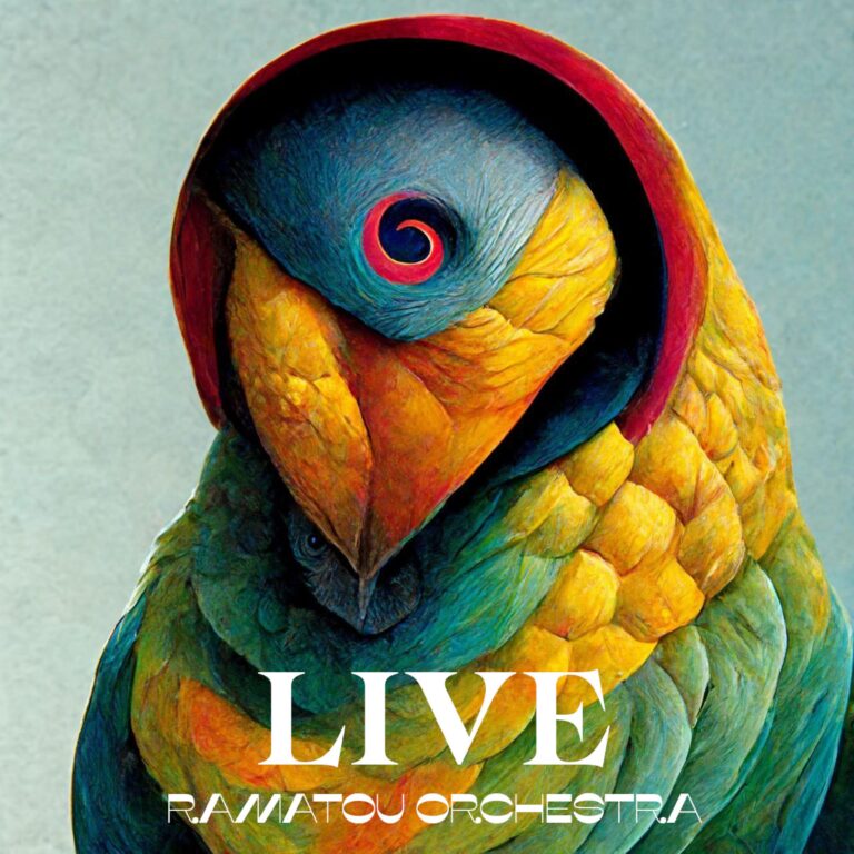 Ramatou Orchestra LIVE Cover